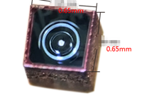 Caméra endoscopique orthopédique pour chien 0,65x0,65 mm 1 mm avec tube en acier 2 LED OCHTA10 400x400p pour téléphone iPad Fenêtre
