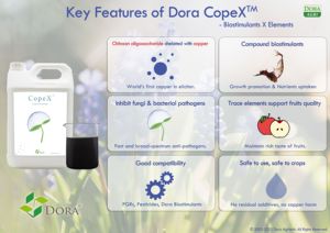 Dora CopeX <span class=keywords><strong>Engrais</strong></span> Organique Cuivre <span class=keywords><strong>Liquide</strong></span> Biostimulant Chili Fraise Tomate Maladies Agrochimiques <span class=keywords><strong>Pour</strong></span> La Croissance Des Plantes - Product Image 6