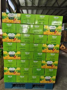 Maíz dulce enlatado de la marca OASIC/maíz dulce al vacío - Product Image 5