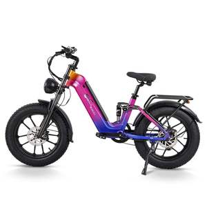 Vélo électrique hybride CMACEWHEEL V20 750W 960Wh avec capteur de couple, amortisseur central et pneus larges 20*4.0, fabrication OEM/ODM en usine - Product Image 3