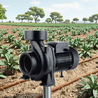 SPX Pompe à eau de surface solaire DC Pompes de surpression pour irrigation