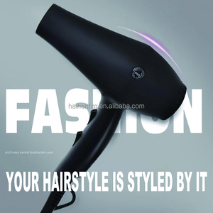 Professional 2400W AC Motor Hand <strong>Dryer</strong> for Hair Household <strong>Electric</strong> Plastic Product with Strong Wind - Product Image 3