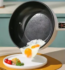 Keukenapparatuur Elektrische Multi-Fornuizen Met Non-Stick Food Steamer Elektrische Koekenpan Heat Pan Pan Hete Pot