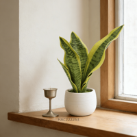 Tanaman Ular Buatan Ramah Lingkungan dan Tahan Lama dalam Pot Keramik, Sansevieria Plastik Imitasi untuk Dekorasi Rumah, Kantor, Hotel