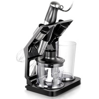 Ensemble de mixeur plongeant multifonctionnel 5 en 1 en acier inoxydable, hachoir à aliments, presse-agrumes, mixeur électrique à main
