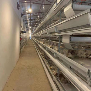Otomatik h-tipi tavuk tabakası tavuk çiftliği ekipmanları çok fonksiyonlu gün eski civciv kafes çelik tavuk kümesi iyi fiyat kullanılan yeni - Product Image 5