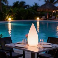 Lampe de table LED en forme de larme, lumière décorative en plastique, télécommande, alimentation AC, pour chambre à coucher, hôtel, bar, restaurant