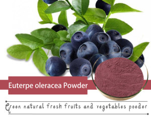 Sıcak satış <span class=keywords><strong>acai</strong></span> <span class=keywords><strong>berry</strong></span> tozu meyve özü - Product Image 5