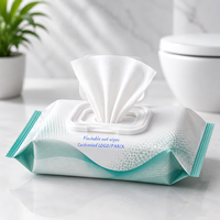 Lingettes humides jetables pour la maison, marque privée, en gros, papier toilette humide 100 % biodégradable pour les vendeurs e-commerce mondiaux