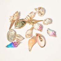 Perles de coquillages naturels électroplaquées, breloques de coquillages de plage pour bijoux d'été et Halloween