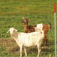 Panneaux de clôture à nœuds fixes pour les fermes d'élevage de bovins et de cerfs