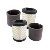 Filtre à air Remplace les numéros OEM B & S 5429K 591583 796032 591383 796032 798911