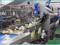 Volledig Automatische Multifunctionele Jammachine/Voedselveilige RVS Groente- en Fruitverwerkingslijn