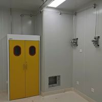 Armoire de sécurité au gaz BYG en acier inoxydable compatible avec régulateur de gaz haute pression pour le stockage de gaz inflammables, régulateur de pression de gaz