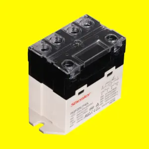 Shenler RGF2BU615L New model custom logo high voltage dc relay power relay 250a transparent small relay ve-r02 5a /220vc