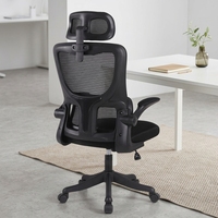 Chaise de bureau ergonomique moderne en maille pour la maison - Montage rapide, design extensible, accoudoirs relevables, appuie-tête réglable 2D
