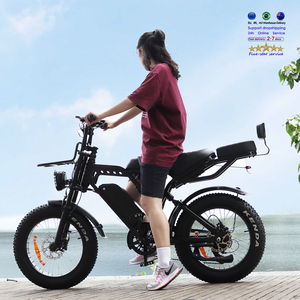 <span class=keywords><strong>Vélo</strong></span> <span class=keywords><strong>électrique</strong></span> à double moteur Enduro Ebike Bisicletas E BIKE <span class=keywords><strong>Vélo</strong></span> <span class=keywords><strong>électrique</strong></span> Elektro Motorrad tandem X80 Fat Electric Fat Biked - Product Image 3