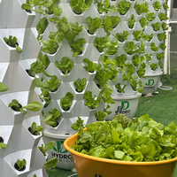 Système de tours hydroponiques de culture verticale pour légumes avec pompes à eau
