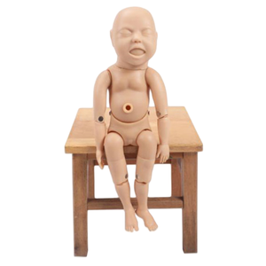 Modèle médical ADA Modèle de bébé nouveau-né à terme (FILLE) et modèle de bébé nouveau-né avancé avec membres pliables (garçon) - Product Image 4