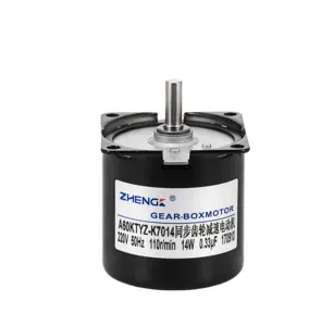 Zhengke 220 240V 50/60HZ AC มอเตอร์แบบซิงโครนัส TYC-50สำหรับหัตถกรรมหมุนนิทรรศการ