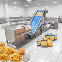Ligne de production industrielle semi-automatique 200 kg/h pour frites de pommes de terre, chips de plantain, légumes et fruits, friteuse pour snacks