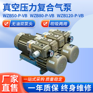 Pompe à vide à double tête Isge Wzb-P-Vb 22 m³/h 100 000 Pa électrique sans huile pour soufflage et aspiration - Product Image 5