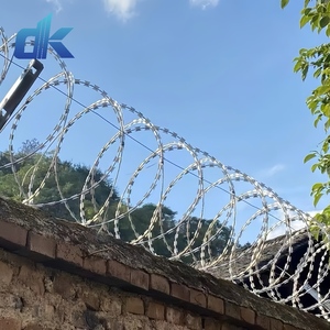 Mạ kẽm nhúng nóng concertina đôi sợi dao cạo dây hàng rào CBT-65 BTO-30 BTO-22 - Product Image 1