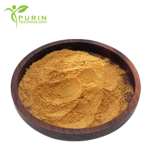 ผงน้ำดีหมู กรดน้ำดี 3% สารสกัดน้ำดีหมู CAS 8008-63-7 - Product Image 2