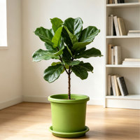 Pot de fleurs circulaire en PP durable et léger avec trou de drainage, design minimaliste et moderne pour usage intérieur/extérieur, jardinage domestique