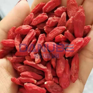 Déshydrateur alimentaire industriel, équipement de séchage des aliments, sécheur pour ciboulette, laitue, chou chinois, patate douce - Product Image 2