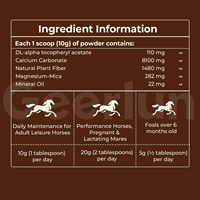 Poudre pour articulations et muscles de chevaux de course OEM, Calcium, Vitamines pour la croissance et la santé des chevaux, Complément alimentaire pour chevaux