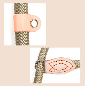 Rarewe, accesorios para mascotas, <span class=keywords><strong>Collar</strong></span> de correa de plomo para perros, logotipo personalizado, cuerda de plomo para perros sin tirones, correas de plomo para entrenamiento de perros de Color sólido - Product Image 3