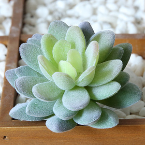 Hot Sale <strong>Small</strong>/mini <strong>Potted</strong> <strong>Plants</strong> <strong>Small</strong> Mini Size Artificial Succulent with Pot <strong>for</strong> Bed Room Decoration - Product Image 3