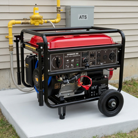 Générateur de gaz à démarrage automatique 10KW pour usage domestique au gaz naturel, au gaz liquéfié (GPL), au propane et au CNG