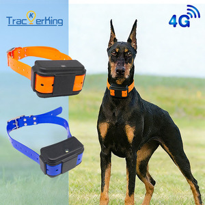 Collier de suivi GPS pour chien, localisateur intelligent pour animaux de compagnie, étanche, anti-perte, collier d'entraînement pour la marche en extérieur - Product Image 2