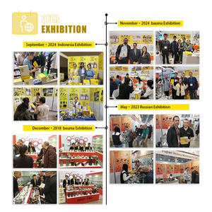 Pompa di Iniezione Carburante di Qualità Originale 9521A332T per Parti di Escavatori Delphi, Pompa Diesel - Product Image 6