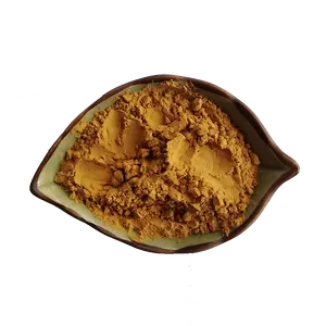 Pasokan pabrik bubuk ekstrak Symphytum Officinale kualitas tinggi ekstrak inale Symphytum Officinale