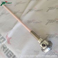 Sonde thermocouple en platine-rhodium de type S/B/R, petite, avec fil interne de 0,5 mm, résistante aux hautes températures jusqu'à 1800 degrés.