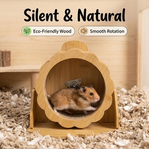 Roue d'exercice transfrontalière pour petits animaux, ultra-silencieuse, respectueuse des pattes, rotation fluide, vente en gros - Product Image 2