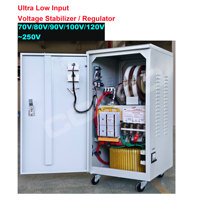 Régulateur de tension automatique AVR à servomoteur à très basse tension d'entrée, stabilisateur de tension d'entrée 70V/80V/90V/100V/120V~250V, sortie 220V/110V