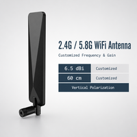 Antenne WiFi externe avec fixation par vis 2.4G 5.8G Fréquence personnalisée Gain 50W Puissance d'entrée IP67