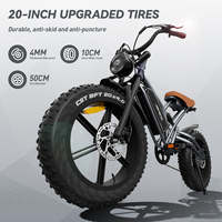 Jansno X50 Vélo Électrique de l'Entrepôt DE, 250W 48V 20 Pouces, Batteries au Lithium 14Ah-17Ah, Cadre en Acier, Moteur de Moyeu Arrière