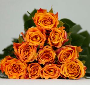 Oda a la Alegría Rosa de una sola cabeza Elegante y elegante Accesorio de flores - Product Image 1