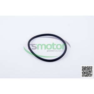 Pieza de motor de Maquinaria industrial de junta tórica de Jenbacher - Product Image 1