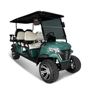 DOT Approved 4+2 Seater Buggy AC Motor Off Road Electric Golf Cart