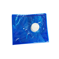 Sac en plastique bleu en boîte avec tube transparent 20L 22L pour boissons et produits laitiers, qualité alimentaire BIB, tuyau de distribution transparent haute performance