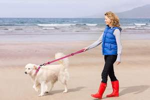 Durable Safety Reflective Pink <b>Dog</b> Leash <b>Collars</b> Set Wholesale Pet Supplier Martingale <b>Dog</b> <b>Collars</b> For Small Medium Large <b>Dogs</b> - Product Image 2