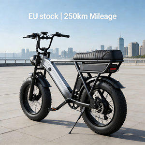 Nouveau Vélo Électrique Y20 Pro 2026 – VTT Électrique 20 Pouces à Pneus Larges (Fatbike) 500W – Vélo Électrique Urbain - Product Image 1