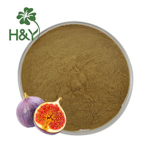 Healthway toptan üst sınıf incir yaprağı ekstresi tozu yüksek kaliteli Ficus Carica yaprak ekstresi - Product Image 1
