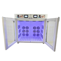 Offre Spéciale 2 dans 1 Pet Sèche-Cheveux Équipement de la Salle Chambre Sèche Machine Automatique Armoire Sèche Pour Animaux de compagnie Chien Sèche-Boîte